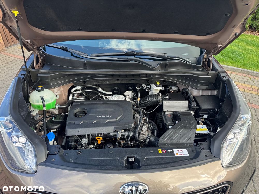 Kia Sportage - 19
