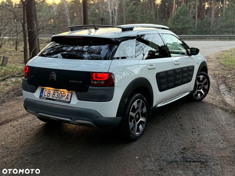 Citroën C4 Cactus - 3
