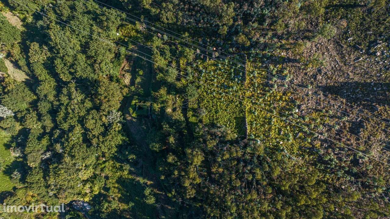 Moradia para Restaurar T2 em UDF de Caldelas, Sequeiros e Paranhos - Grande imagem: 5/9