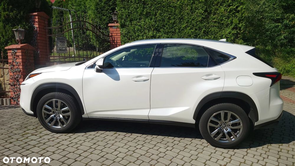 Lexus NX 300 F Sport AWD - 5