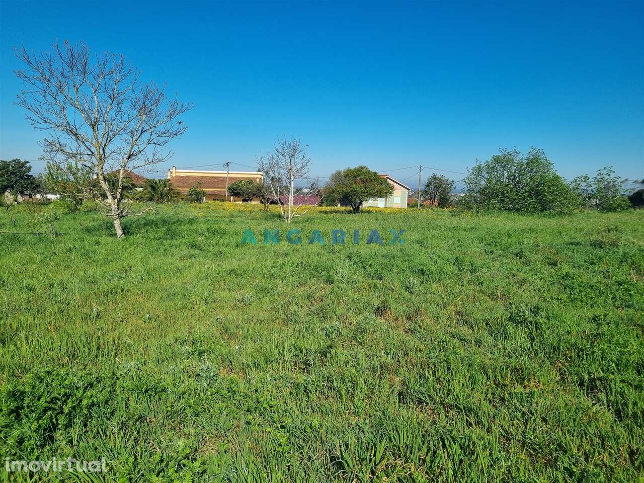 ANG1569 - Terreno para Venda em Colmeias, Leiria - Grande imagem: 5/13