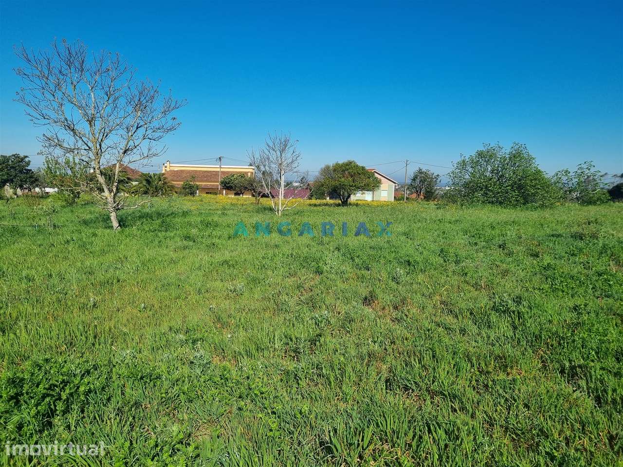 ANG1569 - Terreno para Venda em Colmeias, Leiria - Grande imagem: 5/13