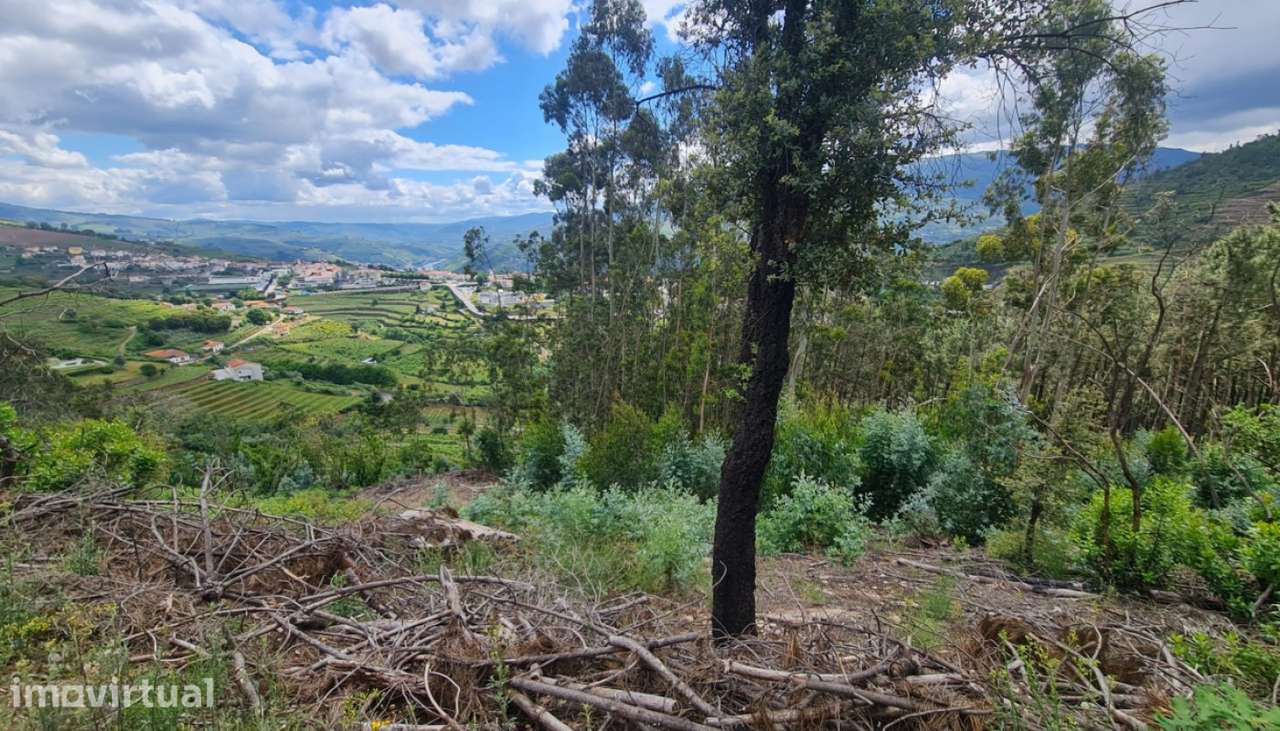Venda Terreno, Gestaçô, Baião - Grande imagem: 2/31