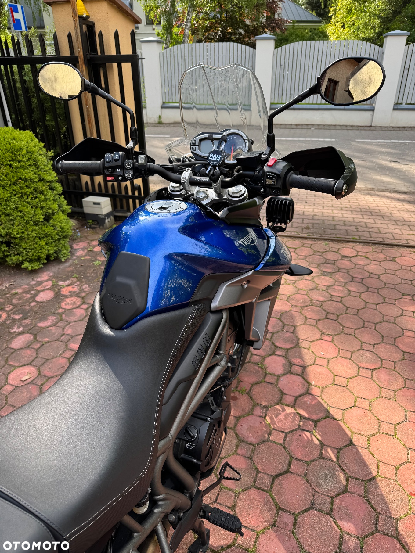 Triumph Tiger - 10
