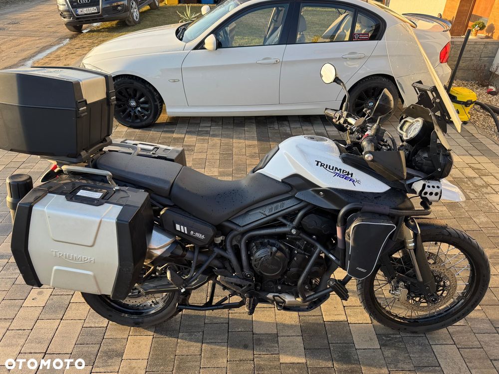 Triumph Tiger - 17