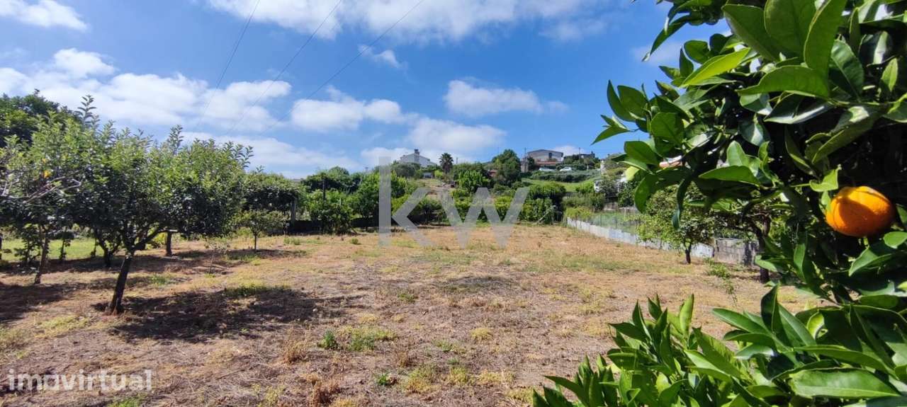 Terreno com 1820m2 em Brasfemes, Coimbra - Grande imagem: 5/12