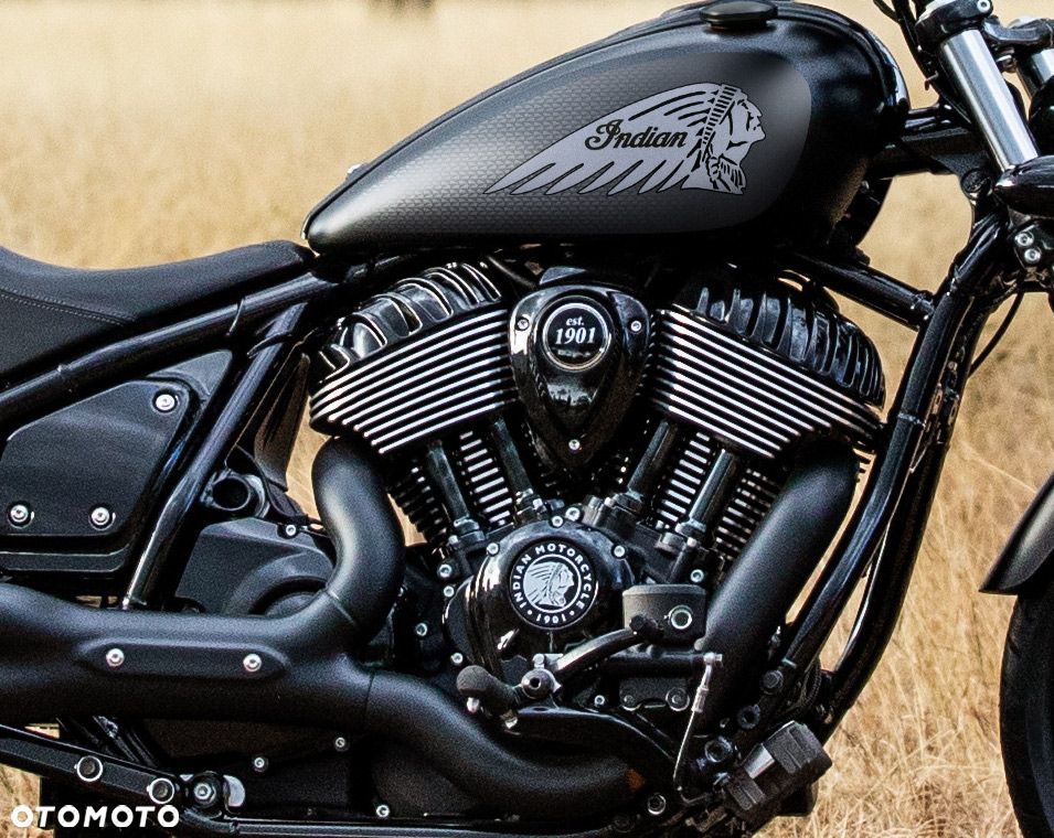 Indian Chief - 12