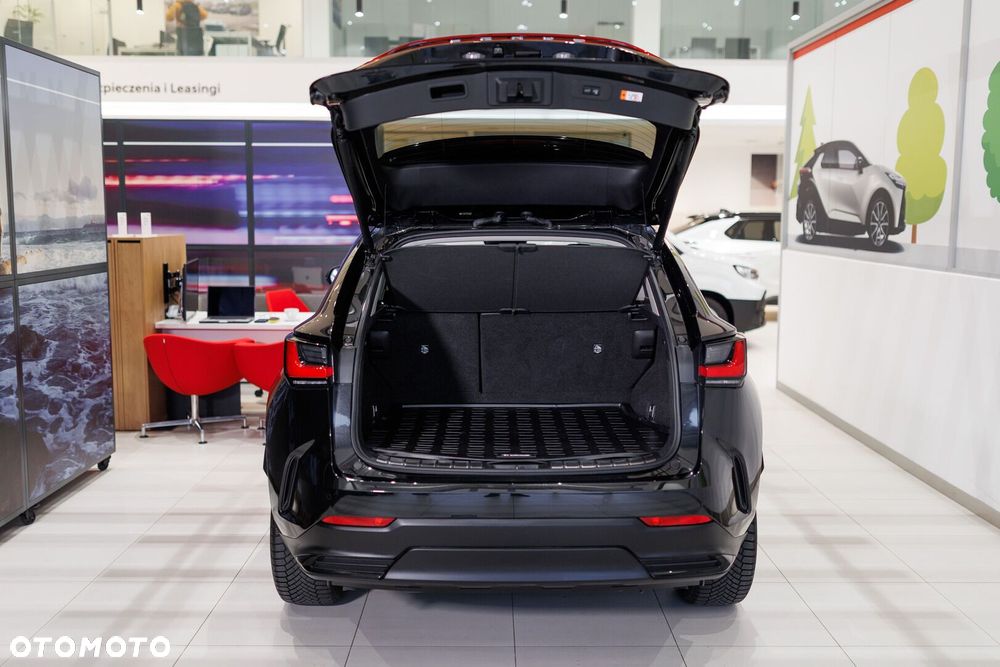 Lexus NX - 30