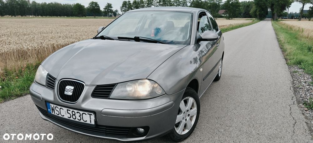 Seat Ibiza - 1