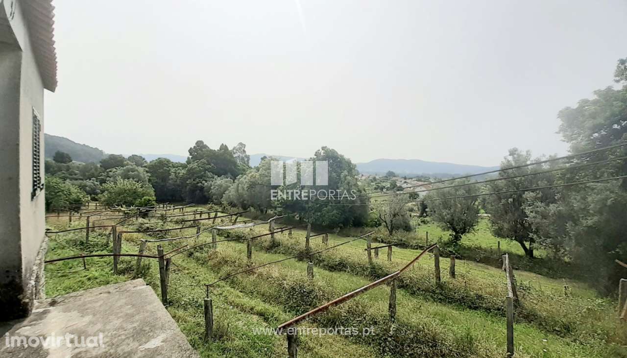 Venda de Quintinha, Serreleis, Viana do Castelo - Grande imagem: 5/30
