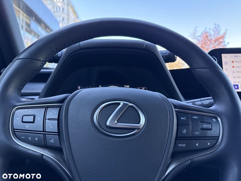 Lexus UX 250h GPF F Sport Design 2WD - 17