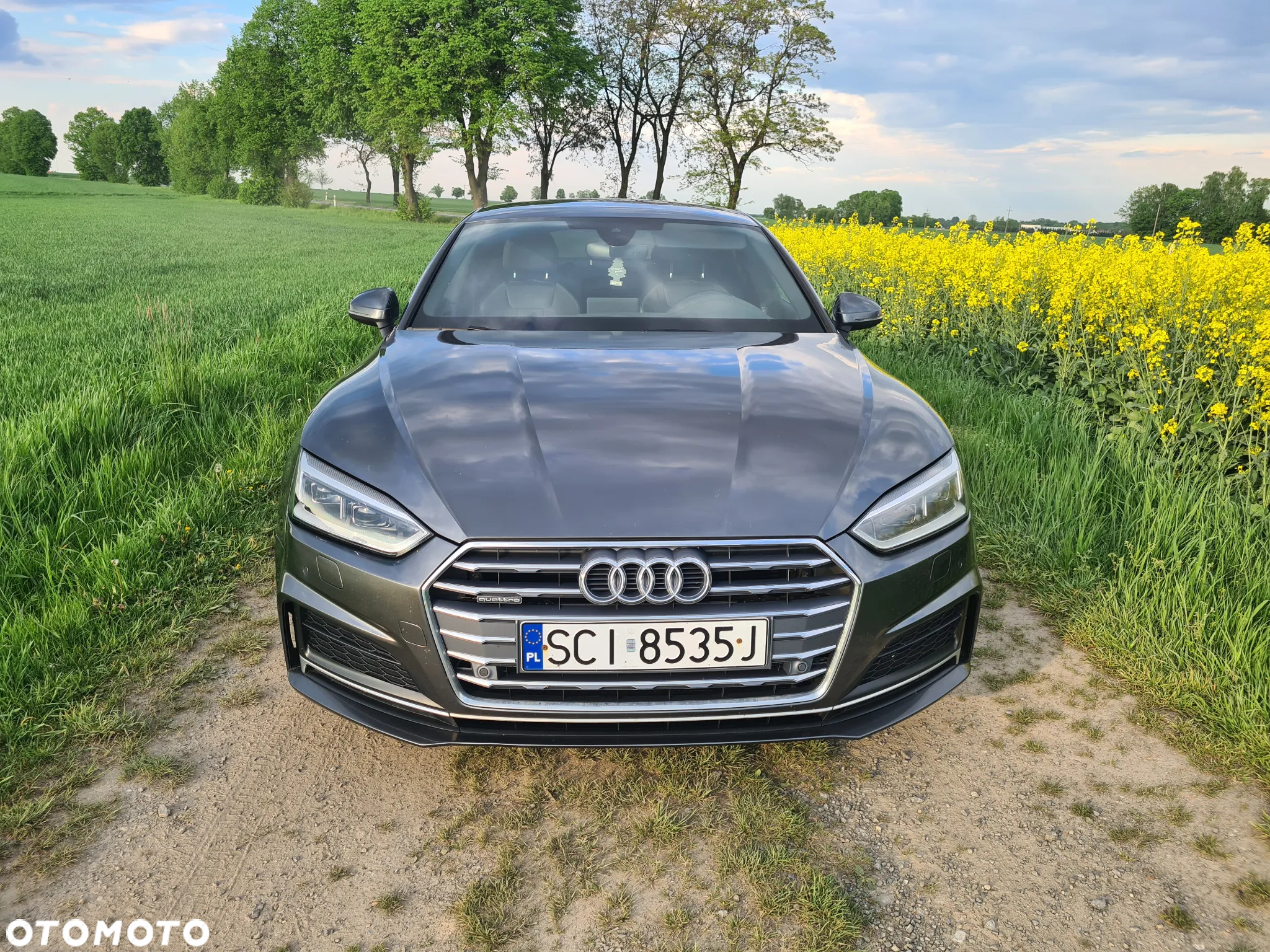 Audi A5 2.0 TDI Quattro S tronic - 2