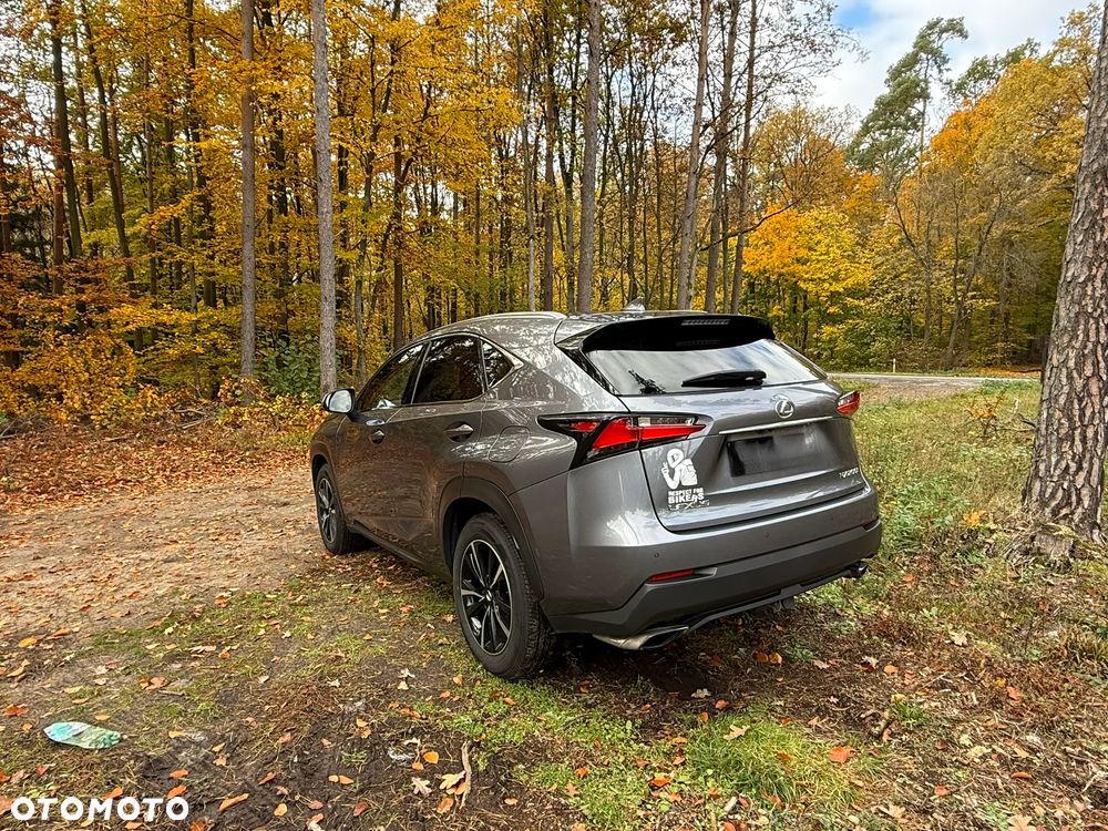 Lexus NX - 27