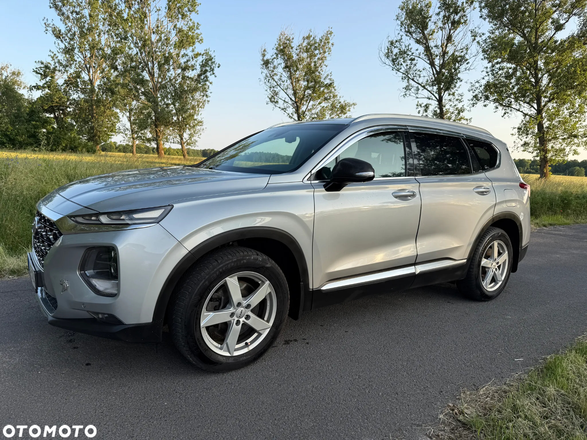 Hyundai Santa Fe 2.2 CRDi Platinum 4WD - 11