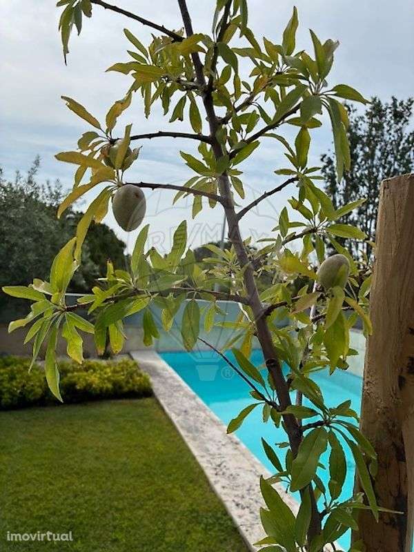 Apartamento T4 para arrendamento - Grande imagem: 2/50