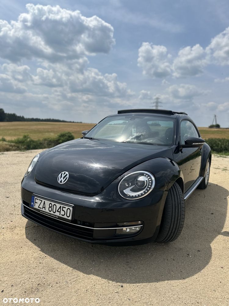 Volkswagen Beetle - 1