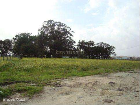 Terreno com 6.694m2 Situado a: 3 km do centro do Montijo. Com potencia - Grande imagem: 5/10