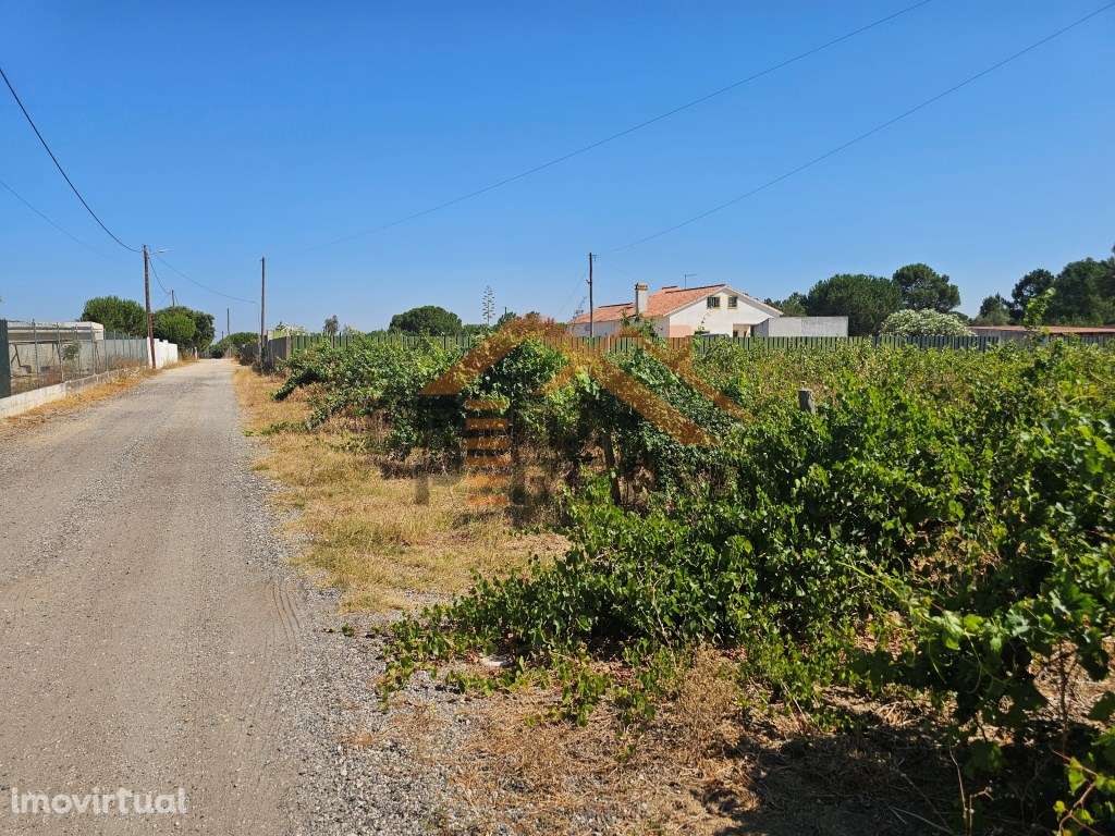 Oportunidade Única no concelho de Palmela, freguesia de Poceirão e ... - Grande imagem: 4/21