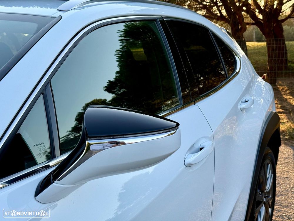 Lexus UX 250h F Sport - 21