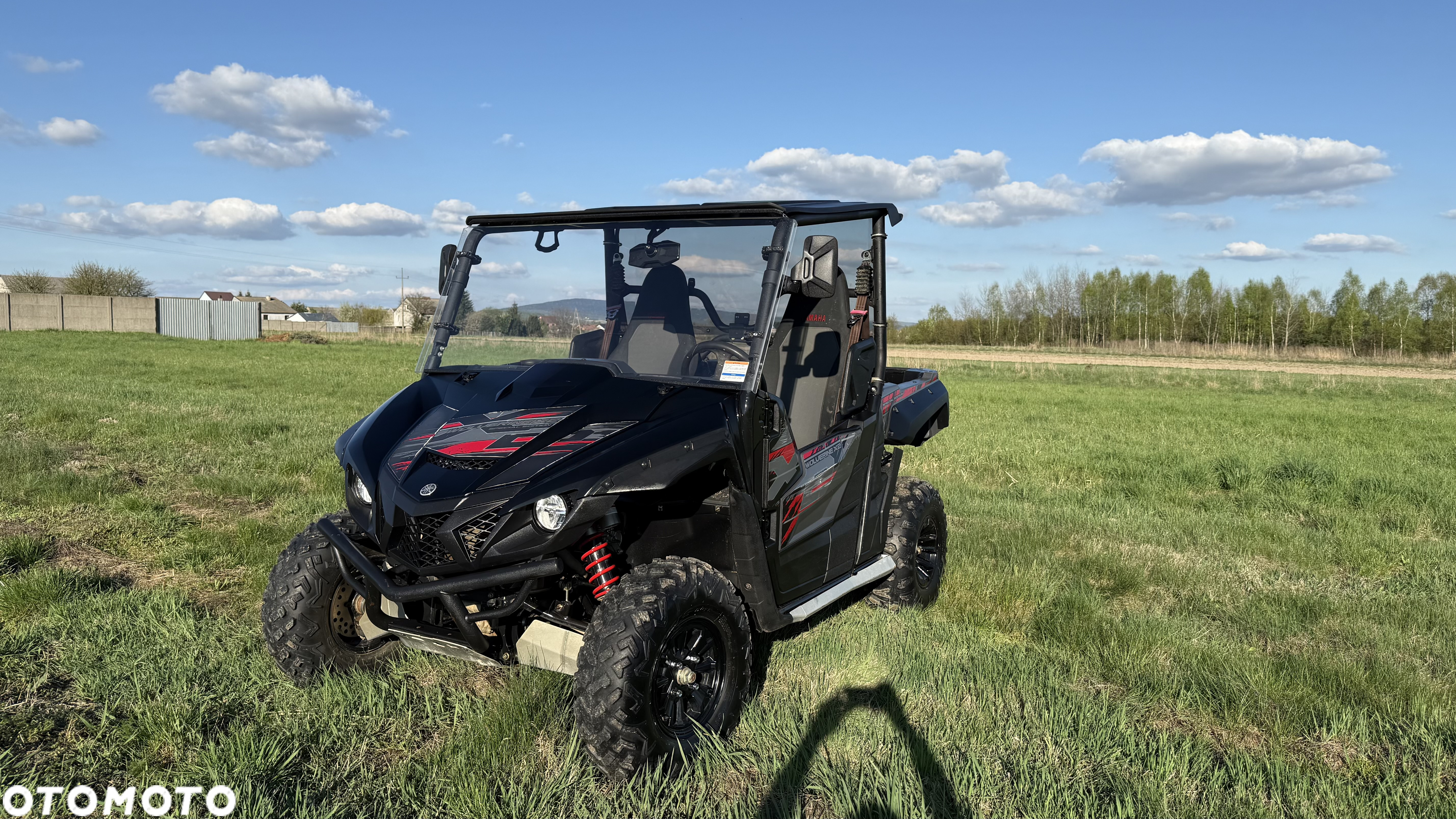 Yamaha Wolverine - 8
