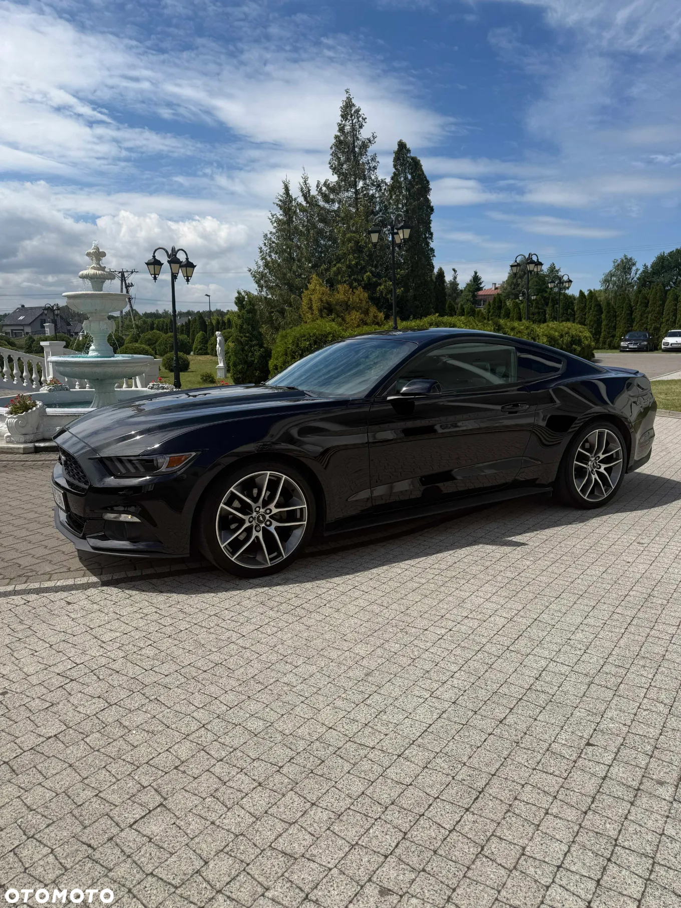 Ford Mustang 2.3 EcoBoost - 8