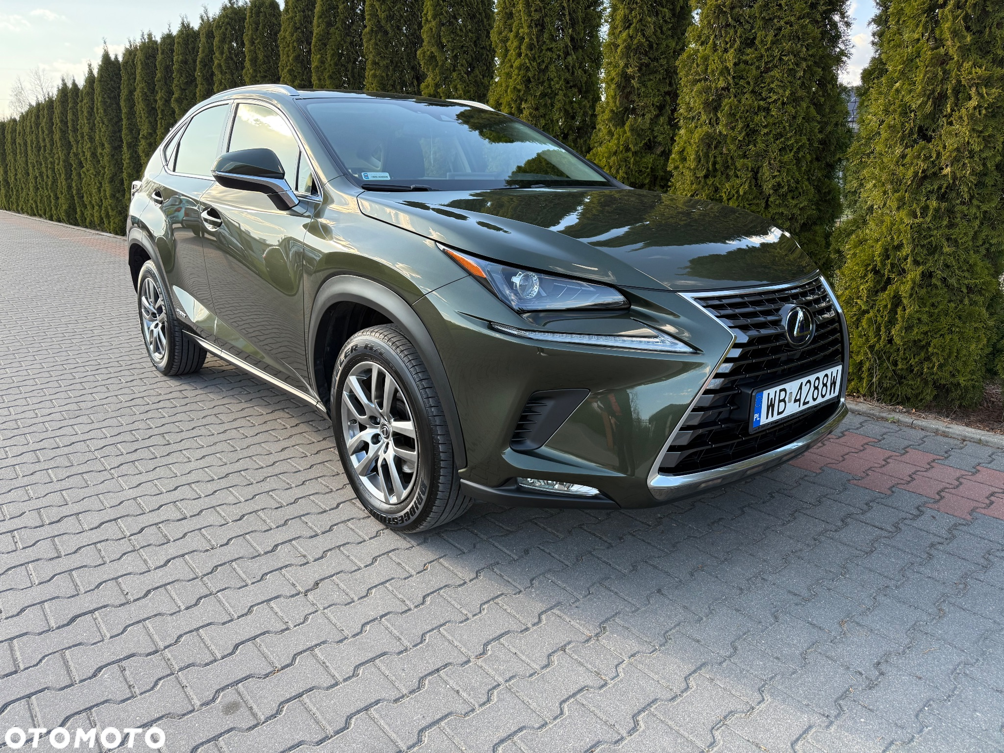 Lexus NX - 7