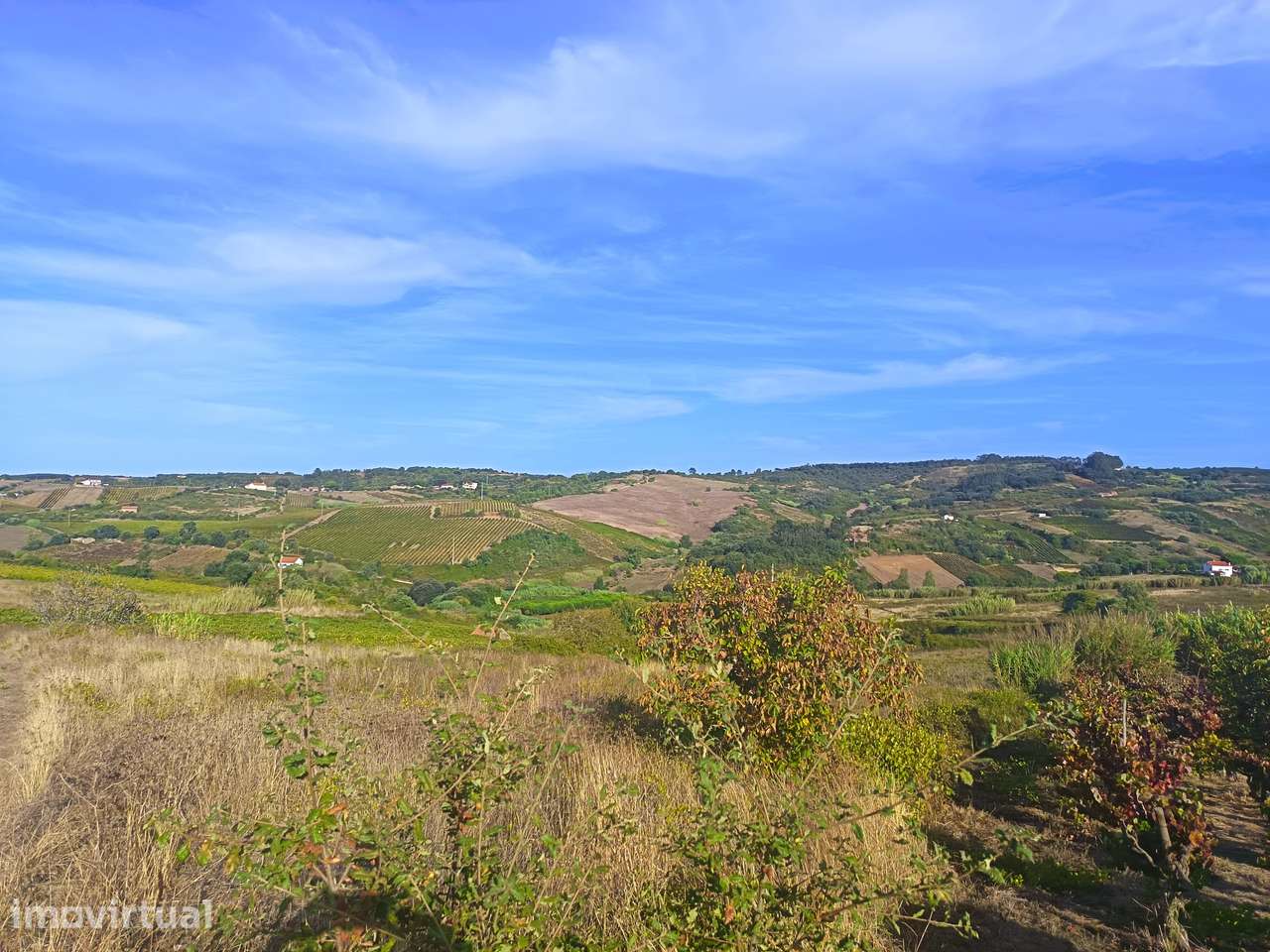 Terreno urbano no campo, 2000 m², Alenquer