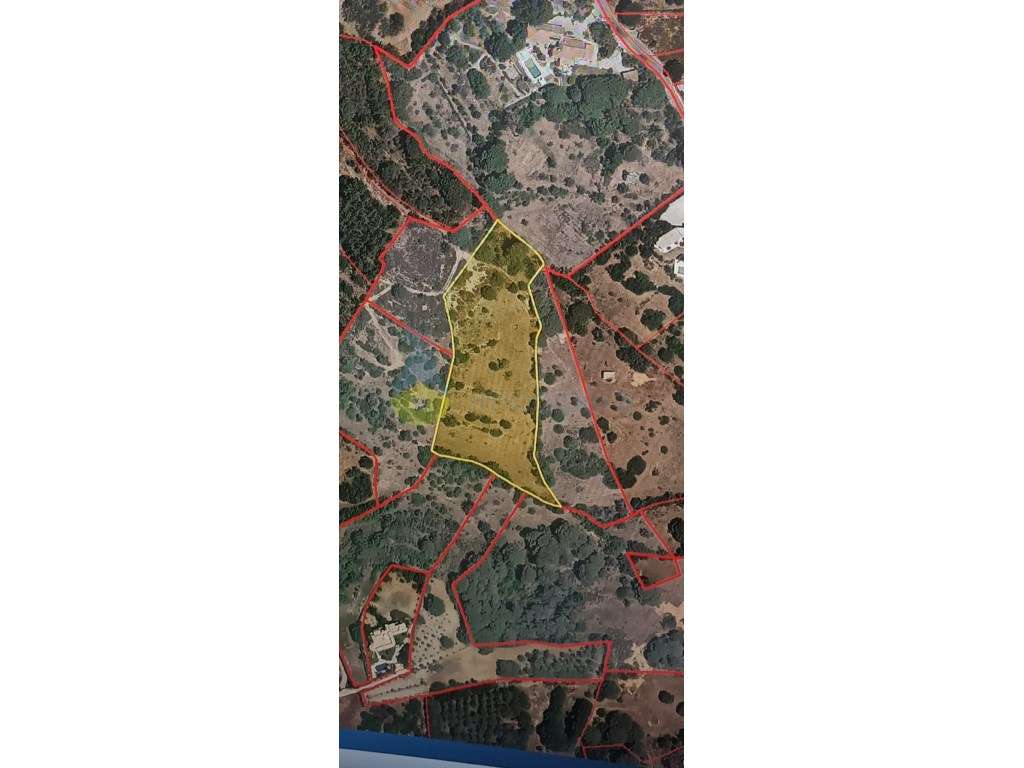 Terreno Rústico Exclusivo em Porches (9.960 m²) - O Seu Refúgio Pri... - Grande imagem: 2/2