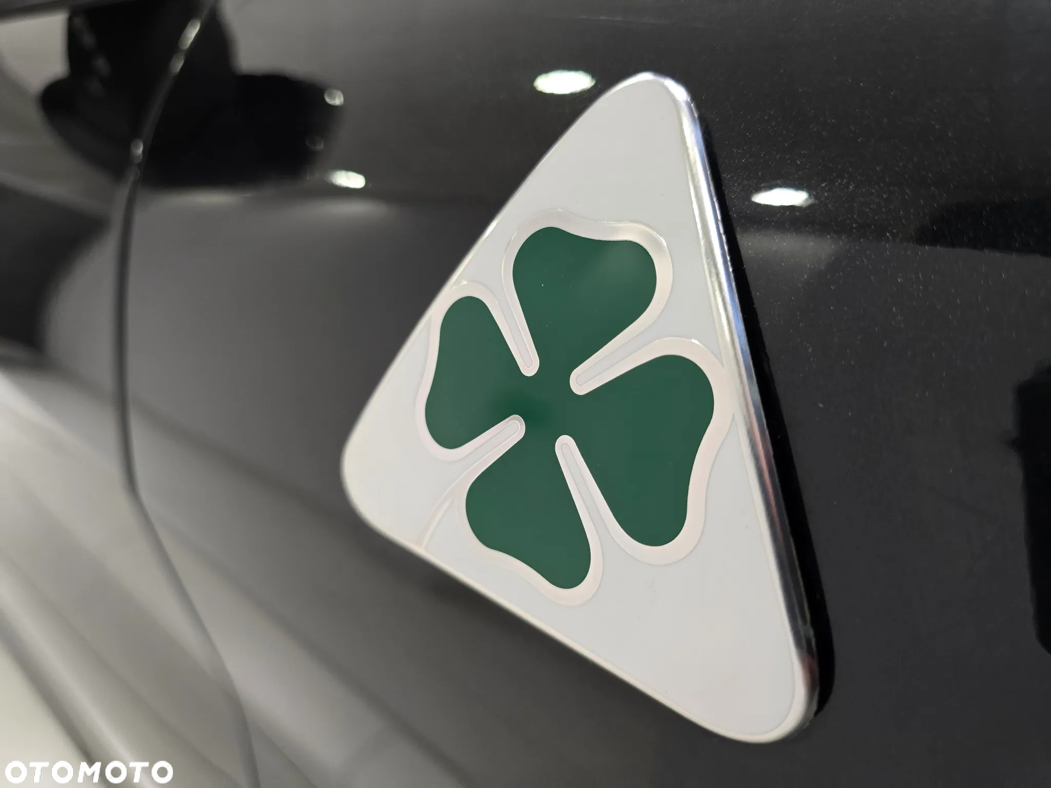 Alfa Romeo Stelvio 2.9 V6 Bi-Turbo Quadrifoglio Q4 - 24