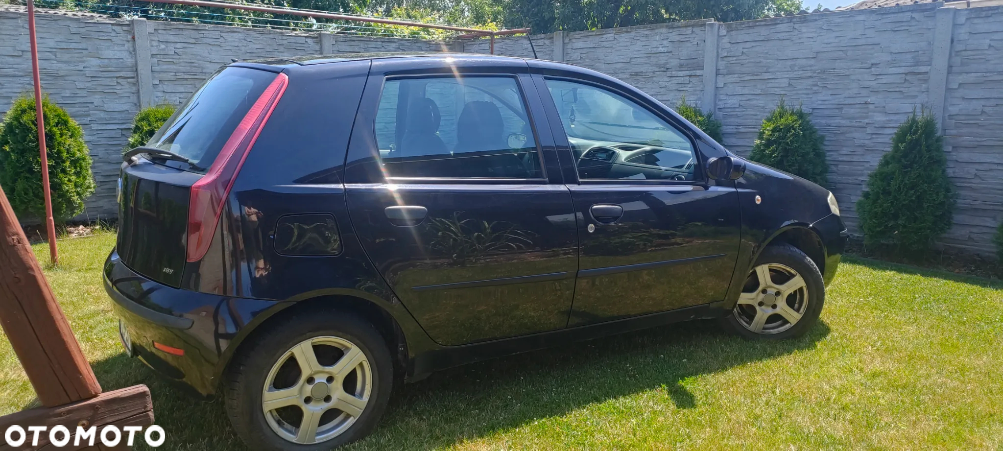 Fiat Punto - 5