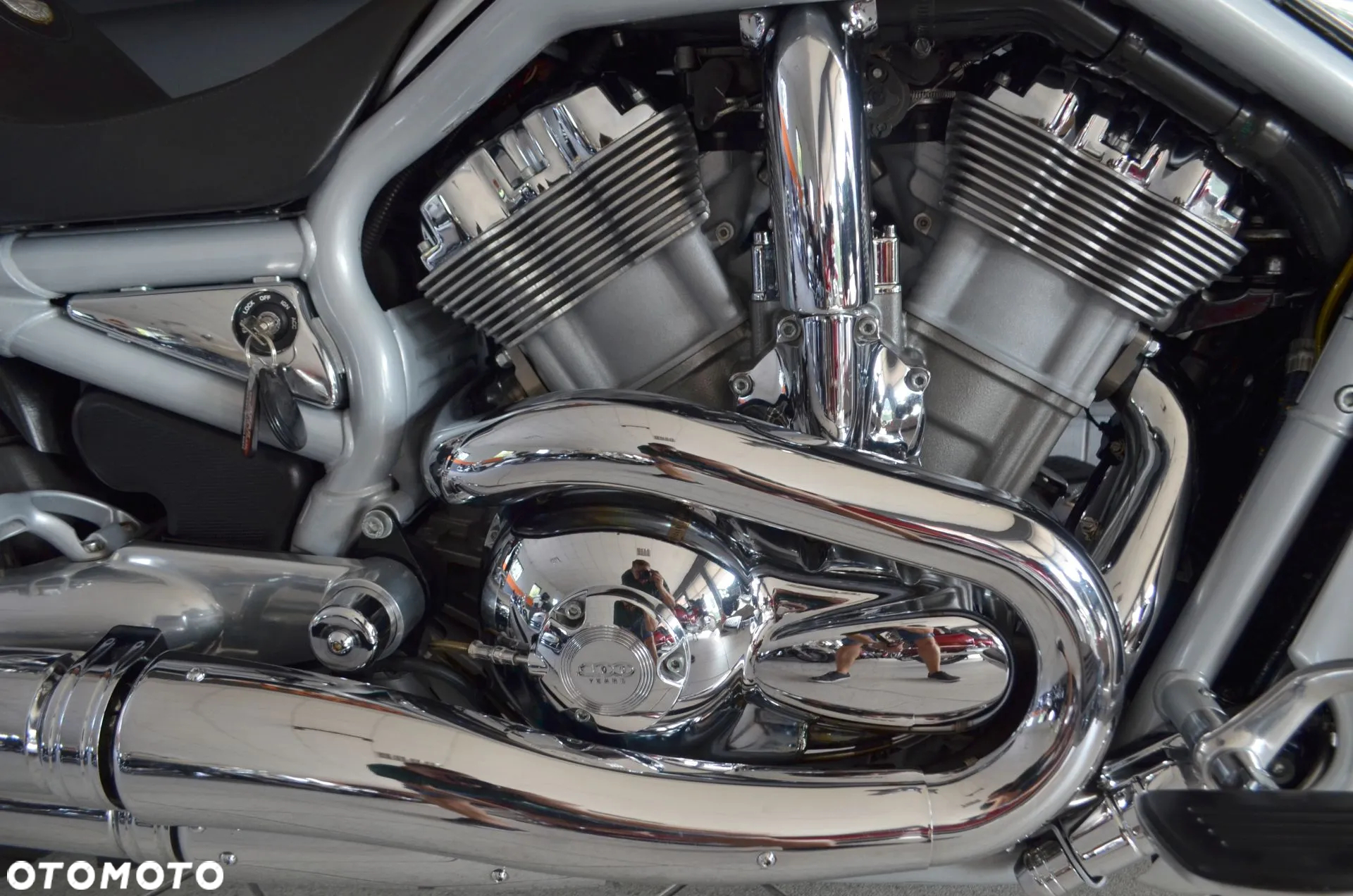 Harley-Davidson Softail V-Rod - 12