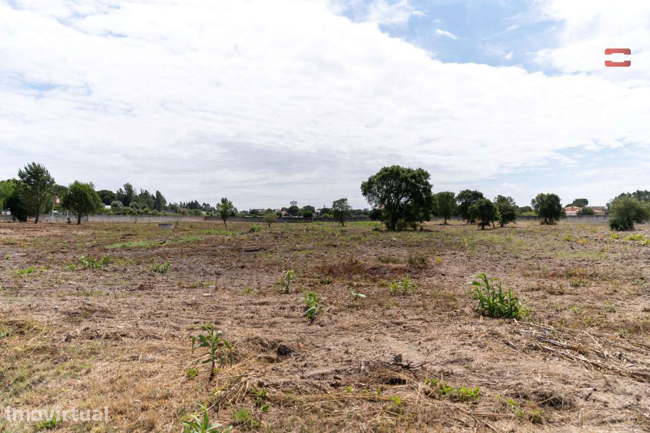 Terreno misto, para venda, Santarém - Vale de Santarem - Grande imagem: 2/17