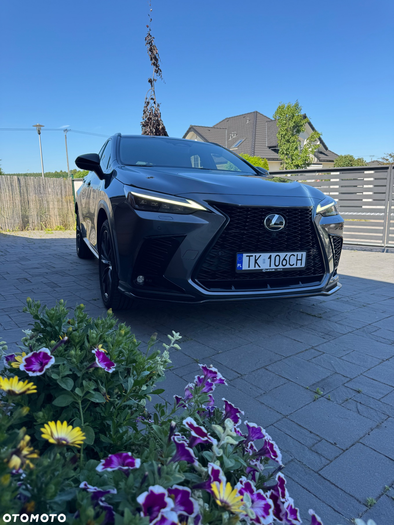 Lexus NX 450h+ F Sport AWD - 2