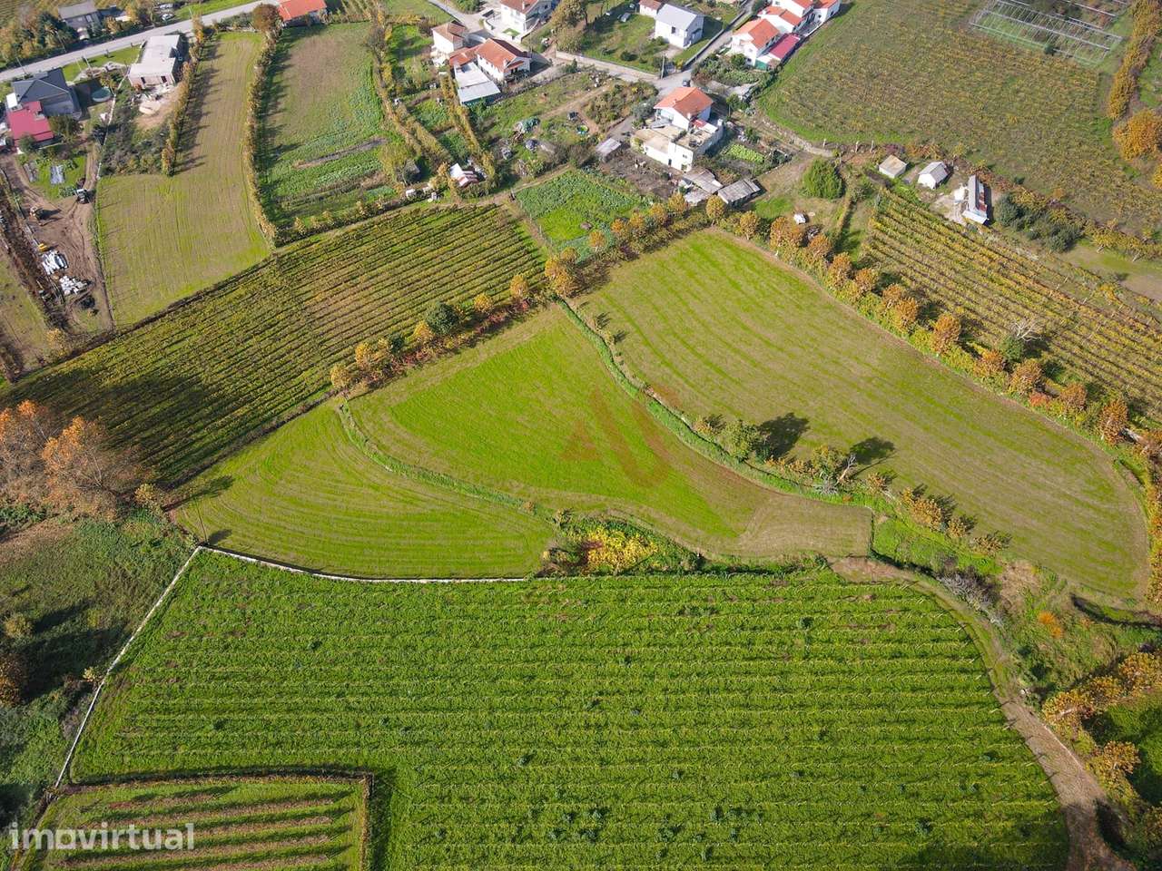 Terrenos Agrícolas com 13.513 m² em Pedreira, Rande e Sernande, Felgue - Grande imagem: 4/4