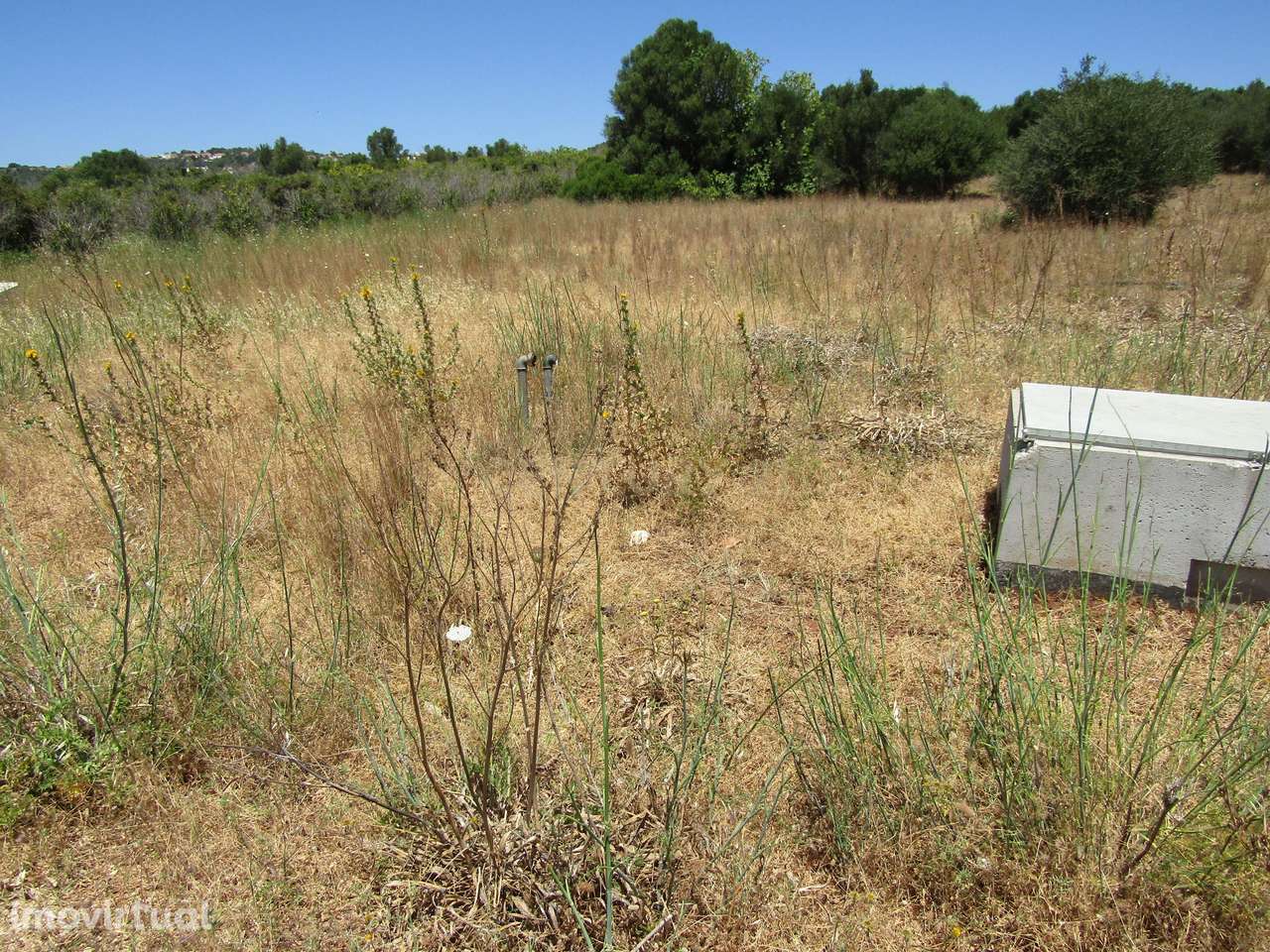 Terreno Rústico - Grande imagem: 4/8