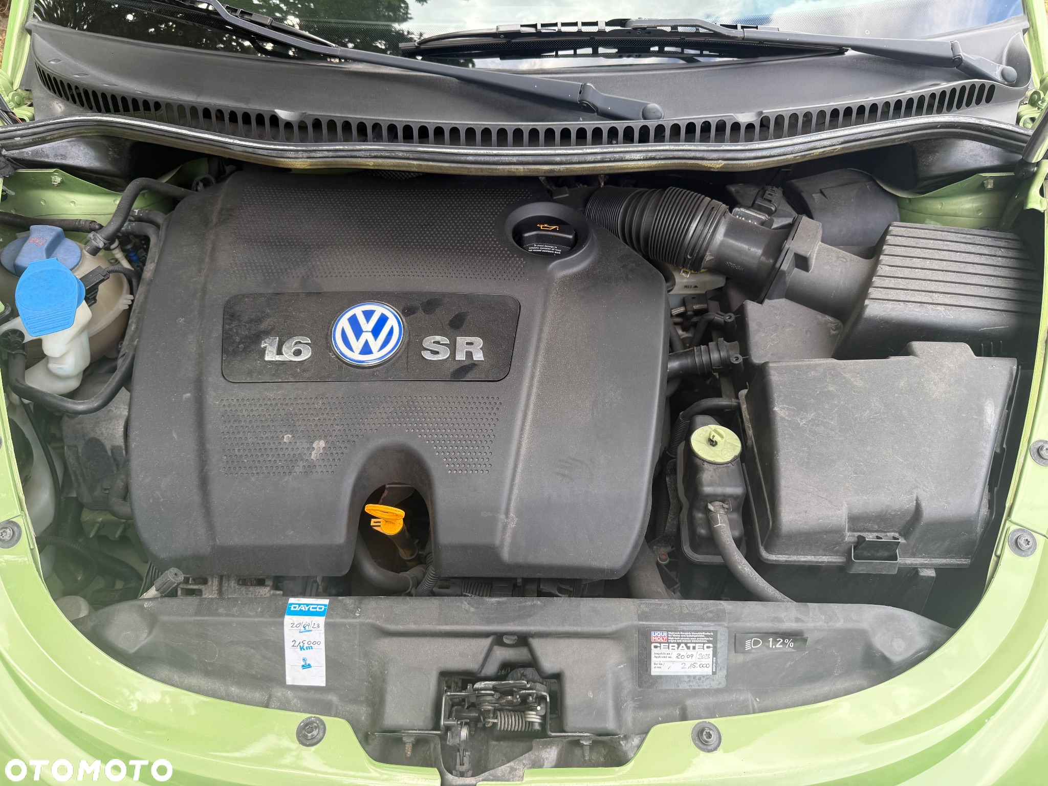 Volkswagen New Beetle 1.6 - 15