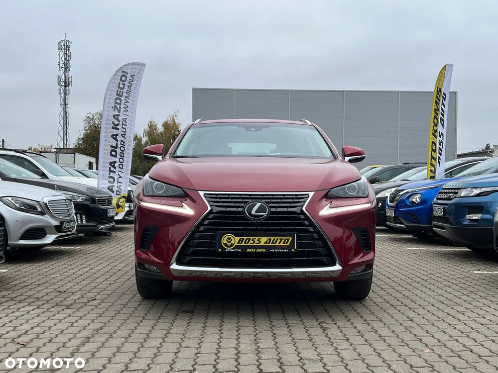 Lexus NX - 3