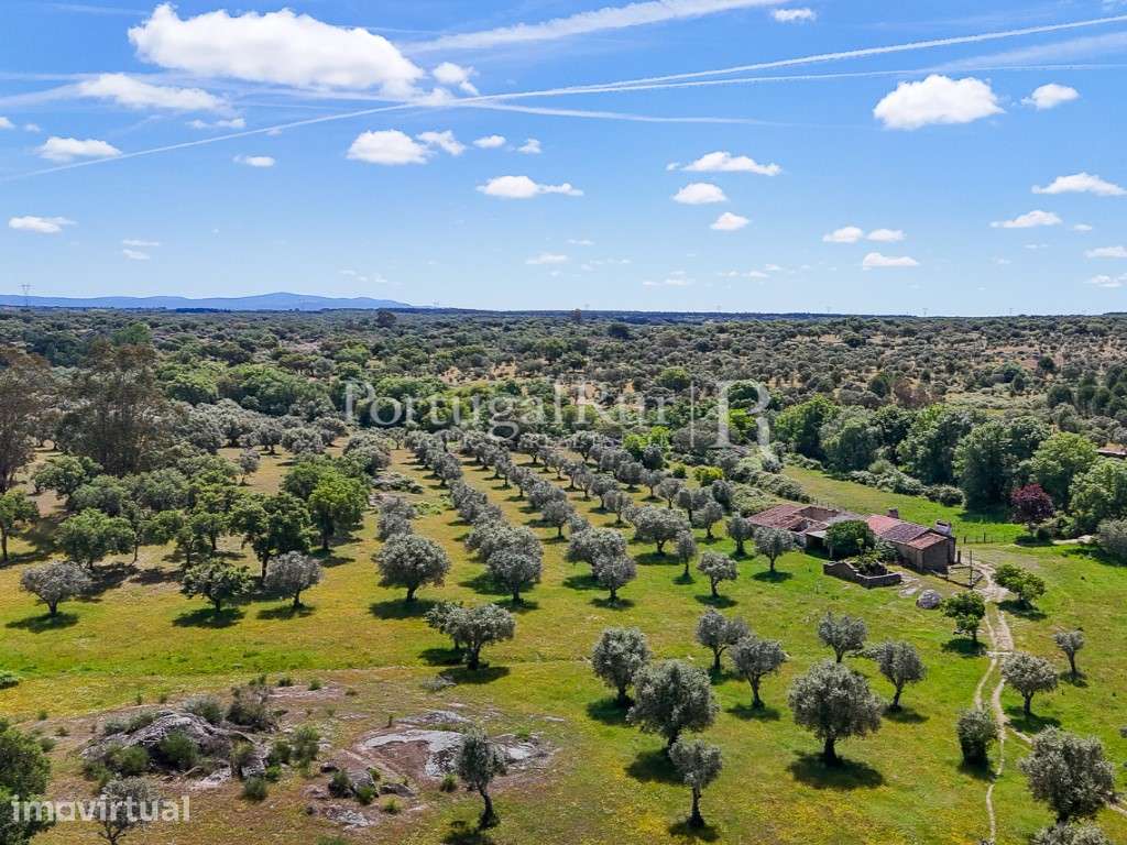 Herdade Ganadeira com 193 ha no Crato, Alentejo - Grande imagem: 3/60