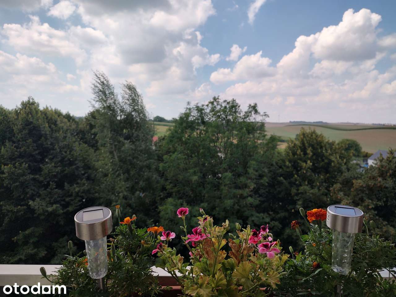 3-pokojowe mieszkanie z balkonem w dobrej lokalizcji