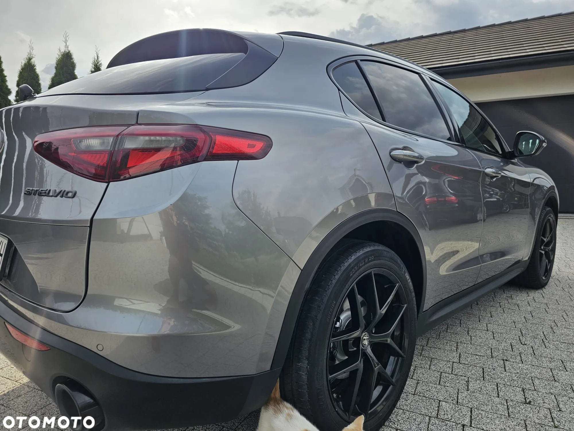 Alfa Romeo Stelvio 2.0 Turbo B-Tech Edition Q4 - 18