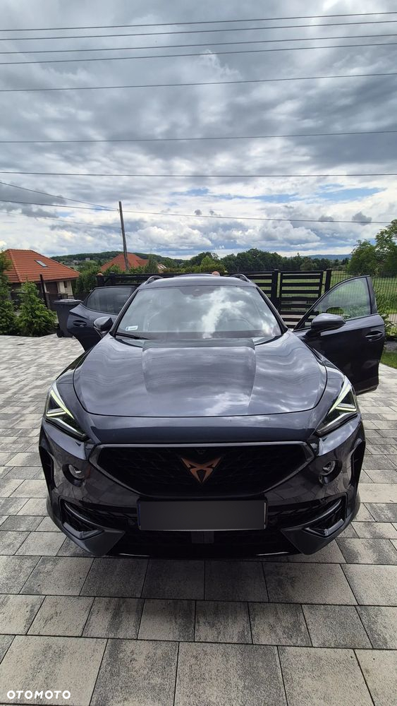 Cupra Formentor 2.0 TSI 4Drive DSG - 29