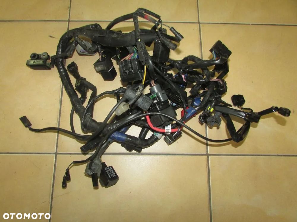 Triumph Tiger 1050 06-12 instalacja wiązka elektryczna - 1