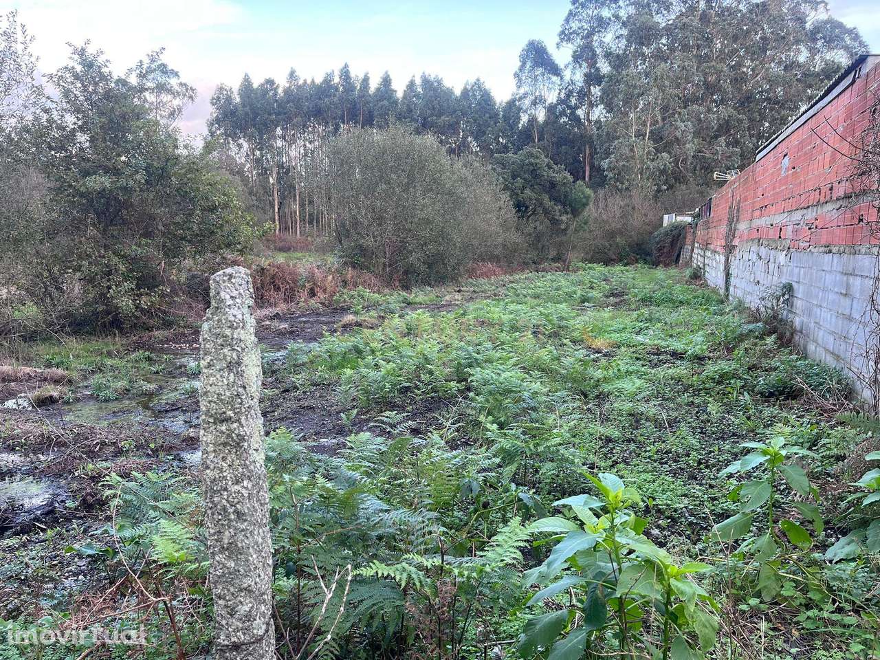 Terreno Rústico de 660 m² na Zona Industrial de Laúndos (Barqueiros) - Grande imagem: 3/6