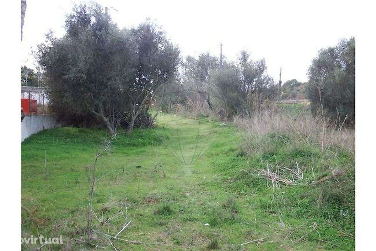 Terreno  para venda - Grande imagem: 5/8