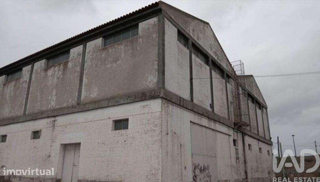 Hangar em Caia, São Pedro e Alcáçova de 5558,00 m2 - Grande imagem: 2/4