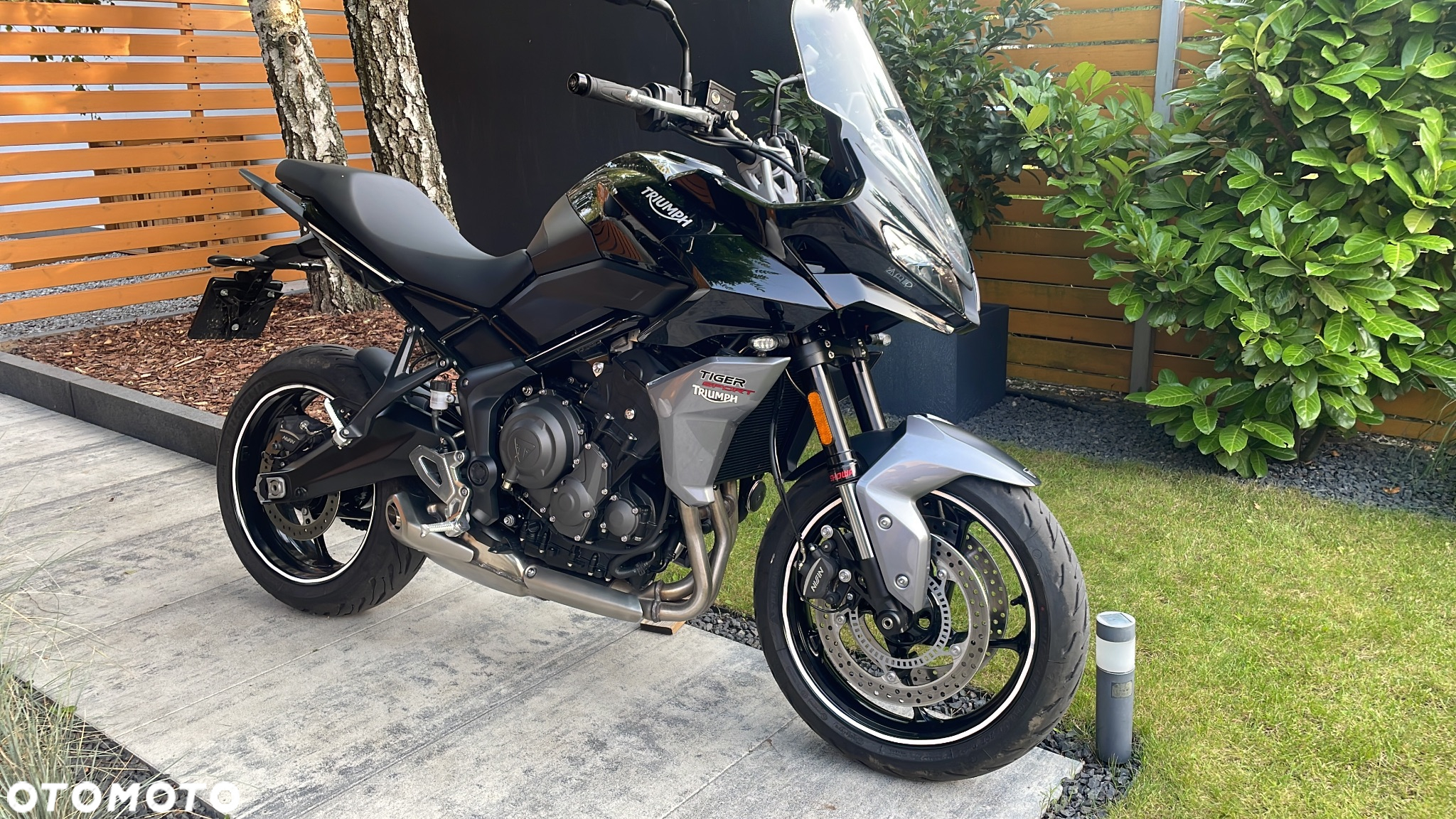 Triumph Tiger - 12