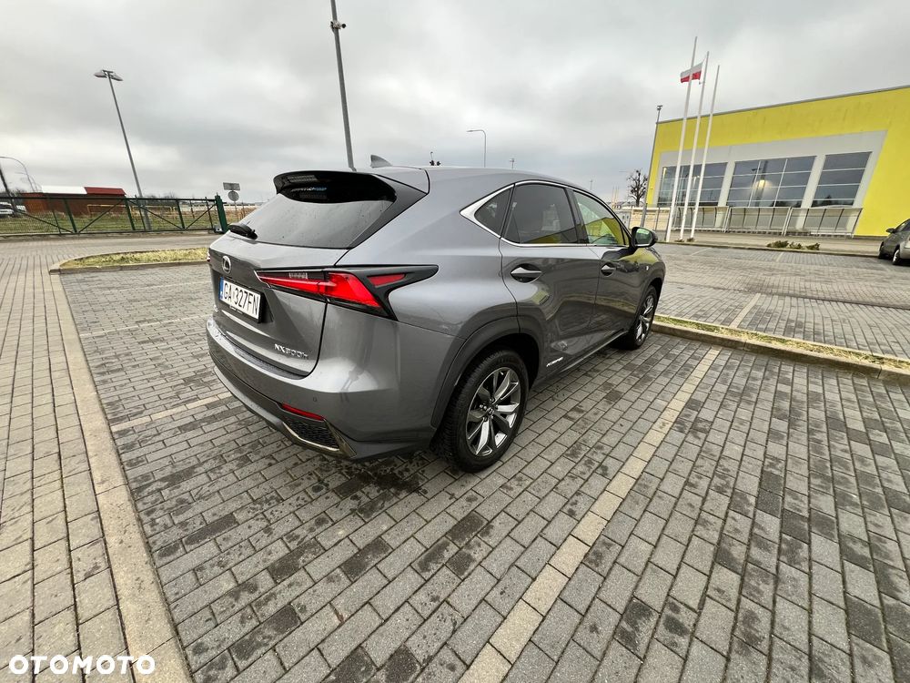 Lexus NX 300h F Sport AWD - 24