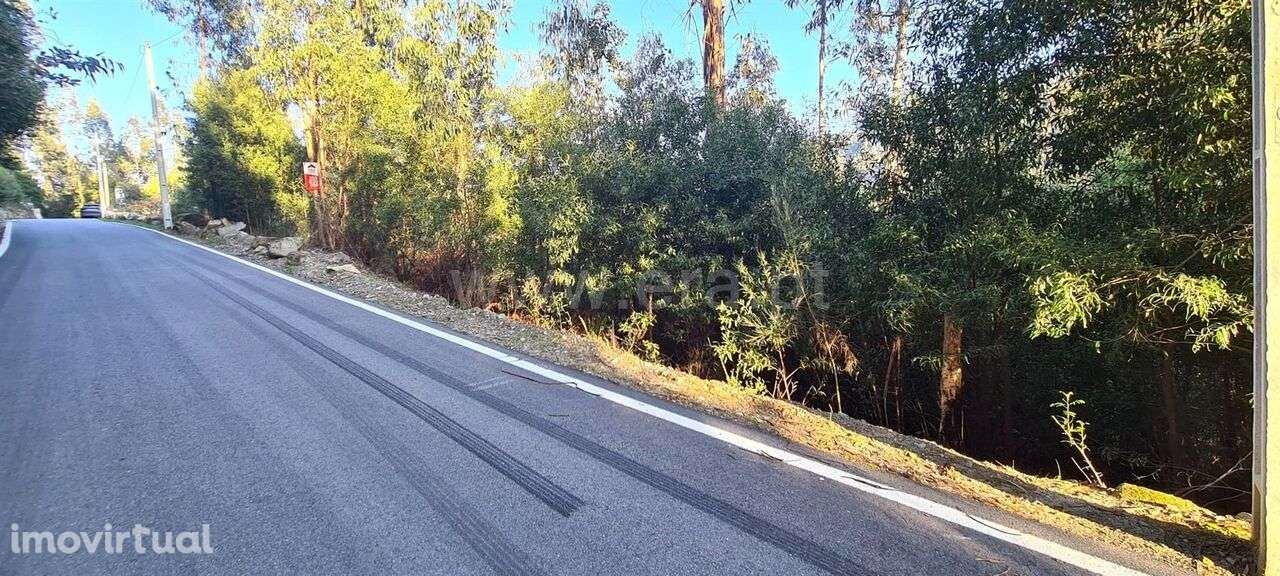 Terreno / Penafiel, Abragão - Grande imagem: 2/16