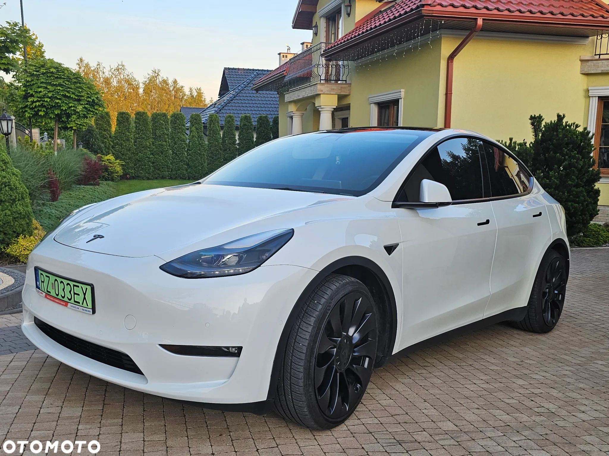 Tesla Y Model Performance Dual Motor AWD - 1