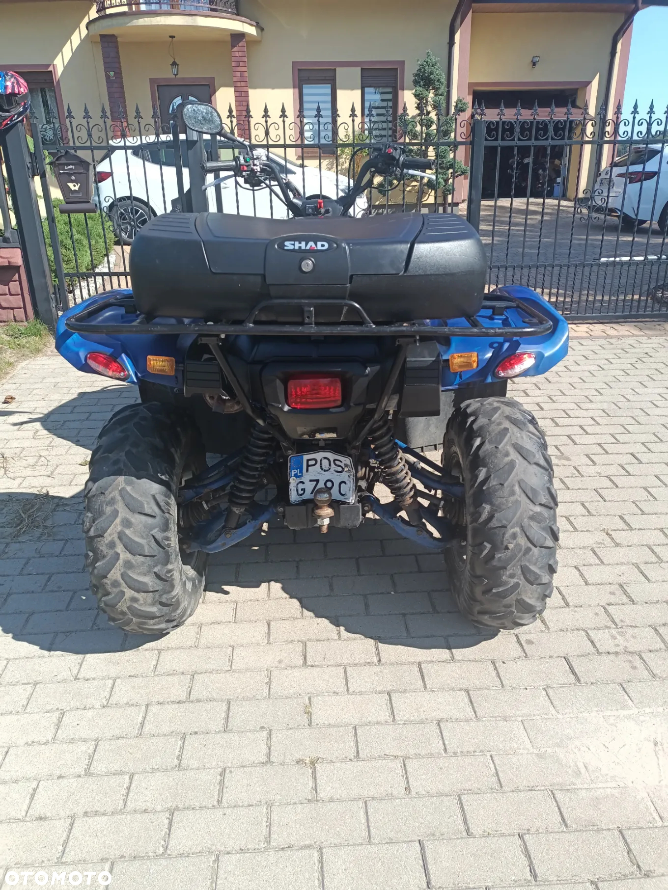 Yamaha Grizzly - 9